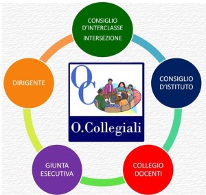 organi_collegiali